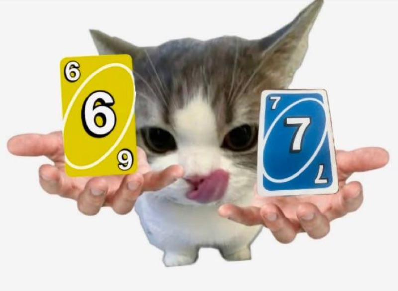 Котик с картами 6 и 7